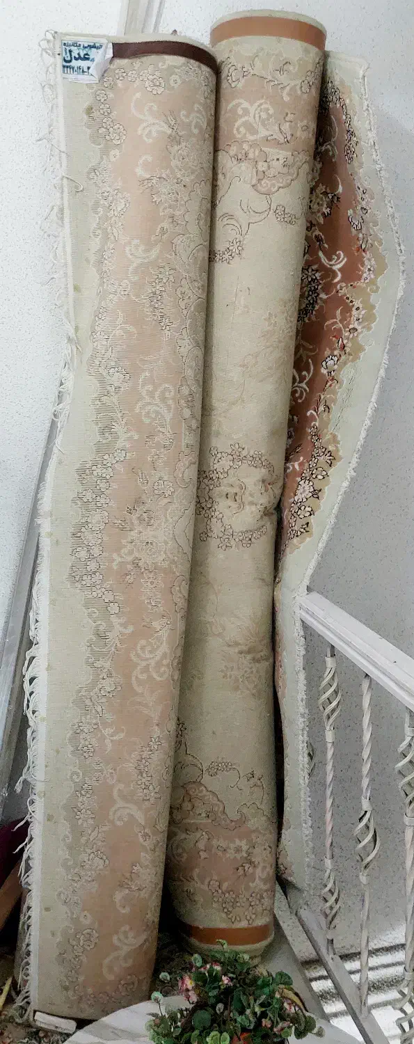 فرش|فرش|رشت, نامجو|دیوار