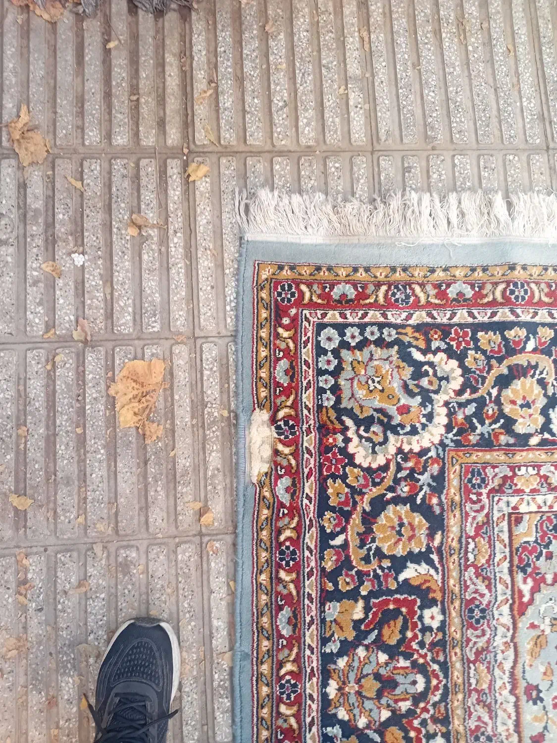 12متری|فرش|تهران, نارمک|دیوار