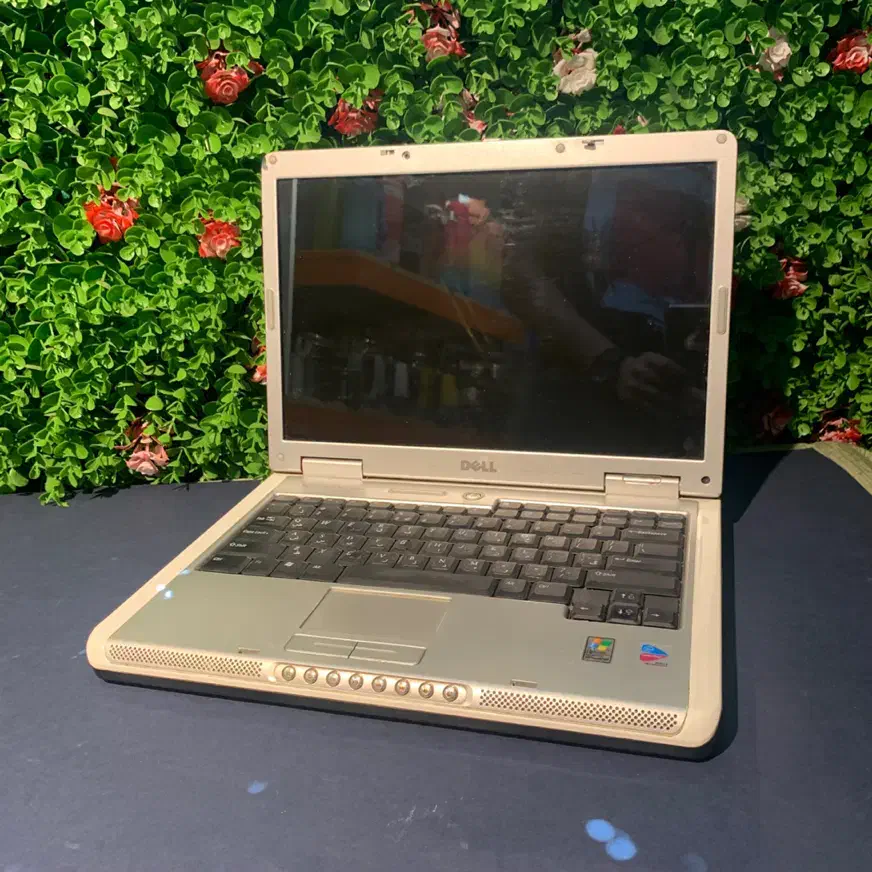 لپتاپ Dellزیر۵میلیون مناسب افیس فیلم و سریال|رایانه همراه|تهران, صادقیه|دیوار