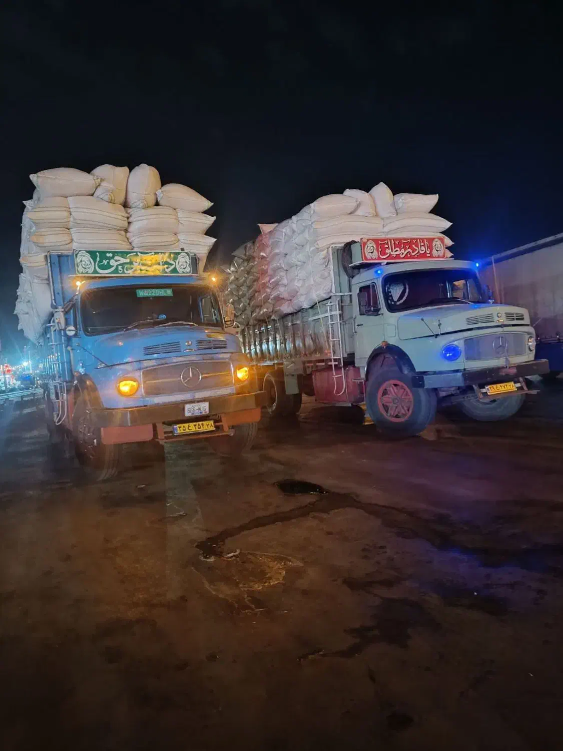 کاه گندم لوکس سرخوشه دیم گونی شده درجه یک همدان|لوازم جانبی حیوانات|یزد, |دیوار