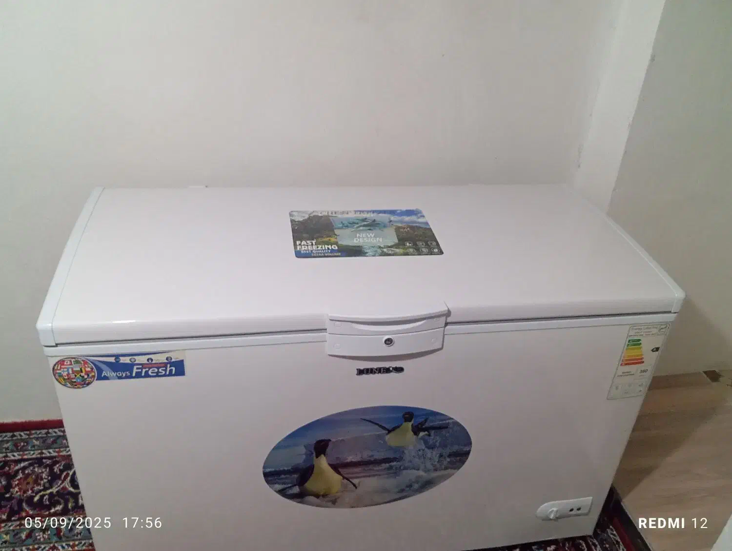 یخچال صندوقی درحد|یخچال و فریزر|کلاله, |دیوار