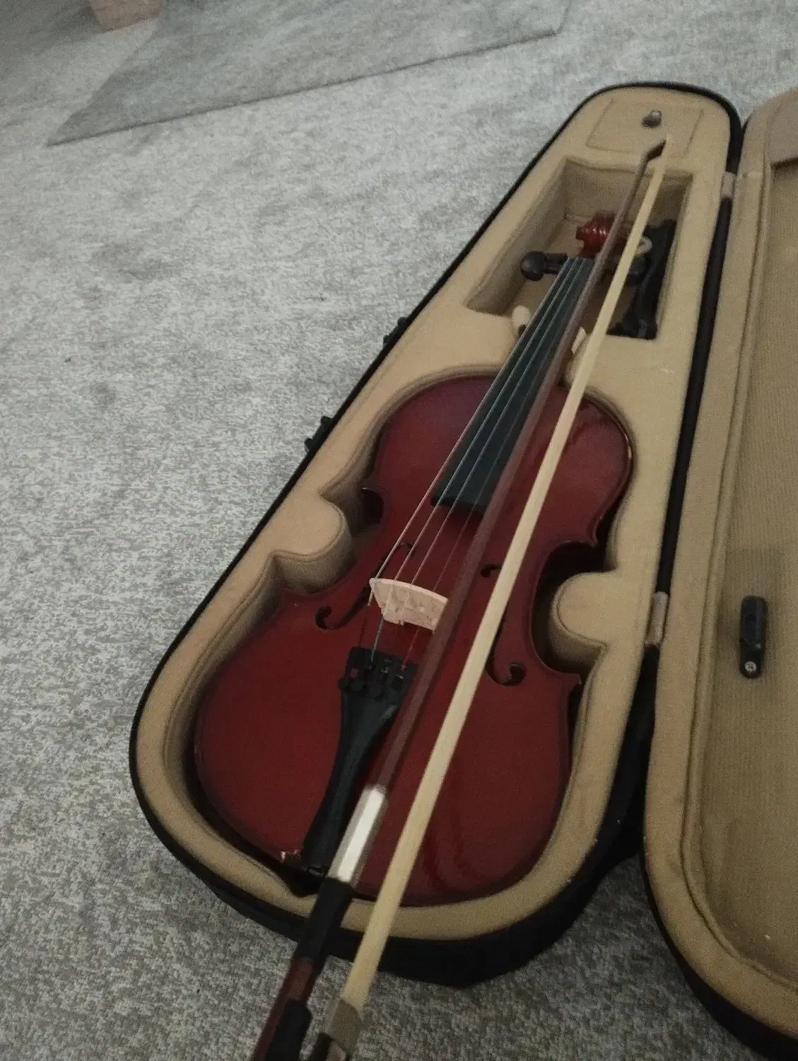 ویالون|ویولن|بندرعباس, |دیوار