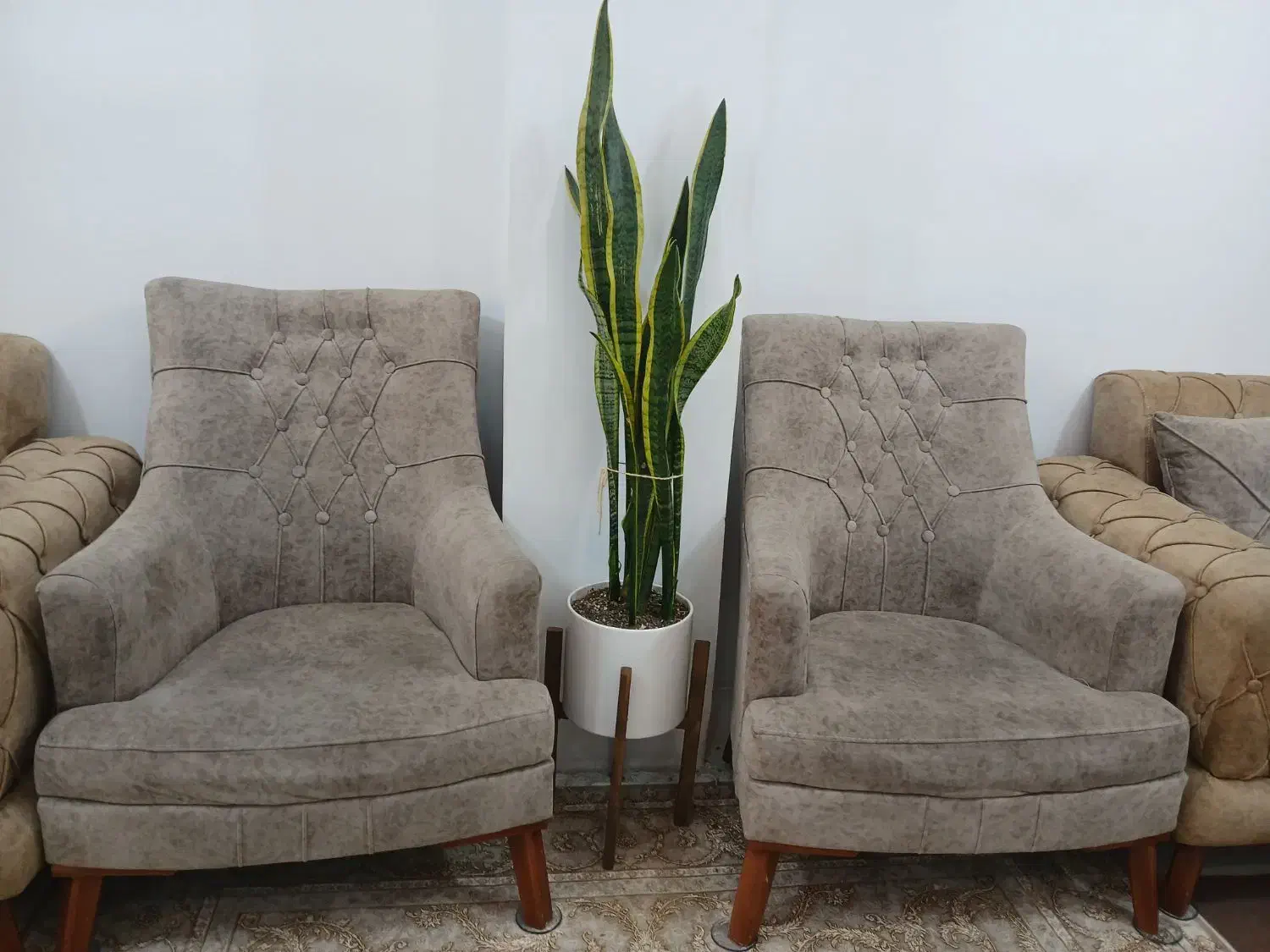 مبل راحتی چستر|مبلمان خانگی و میز عسلی|کرج, دانشگاه خوارزمی|دیوار