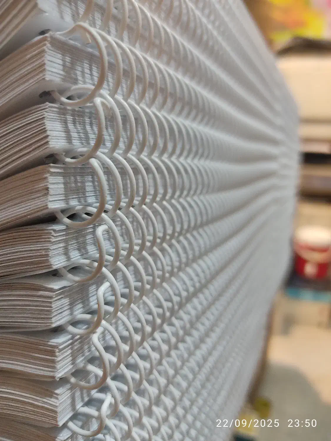 همکار برای شراکت در دفتر فنی و چاپ|استخدام رایانه و فناوری اطلاعات|کرج, دانشگاه آزاد|دیوار