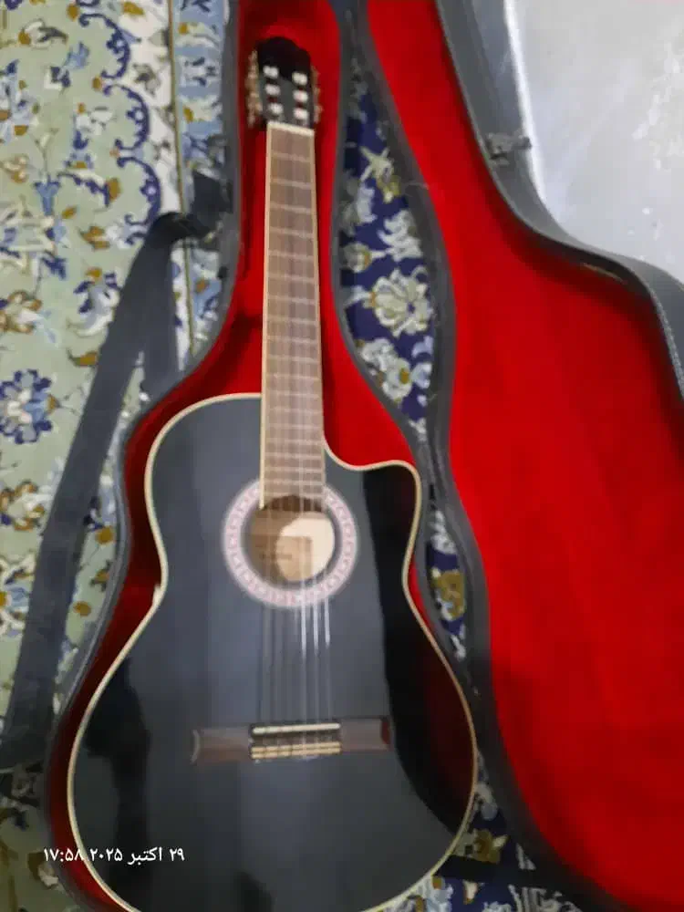 گیتار کلاسیک|گیتار، بیس، امپلیفایر|زاهدان, |دیوار