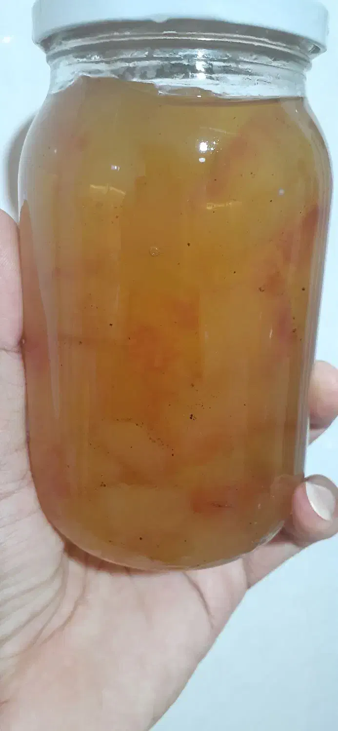 مربا|خوردنی و آشامیدنی|تربت جام, مطهری|دیوار