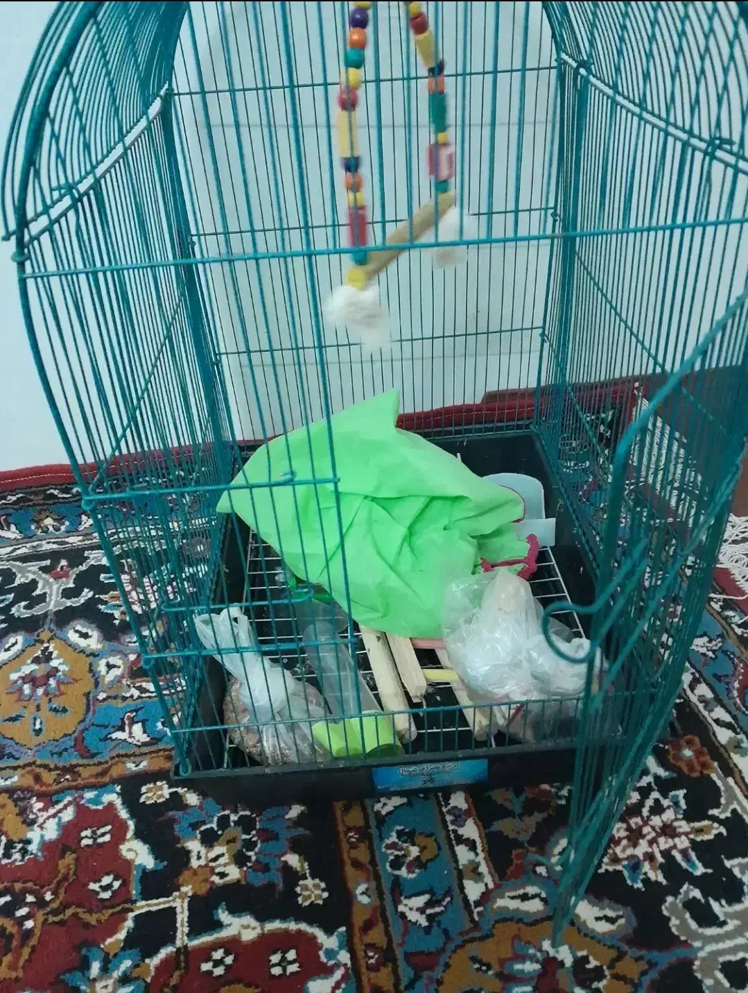 قفس عروس هلندی|لوازم جانبی حیوانات|مینودشت, |دیوار