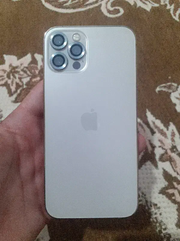 ایفون 12pro|موبایل|قائن, |دیوار