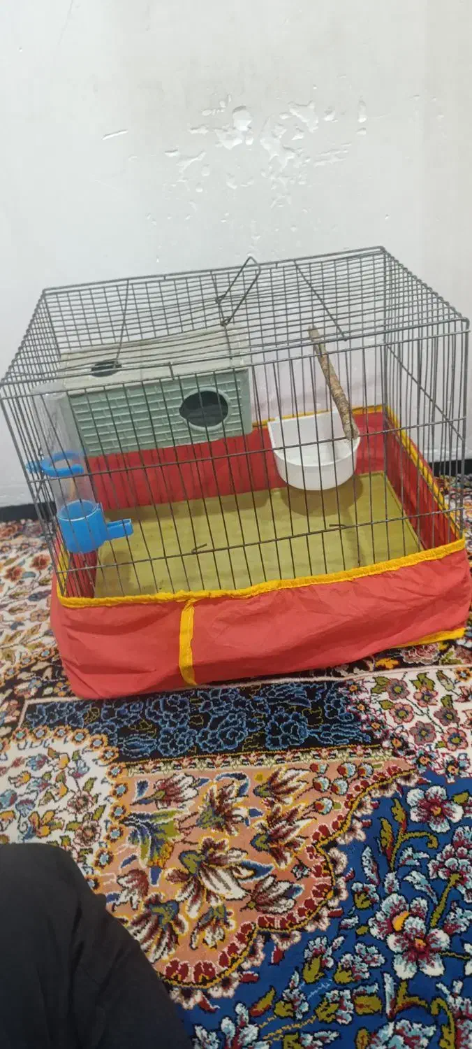 قفس پرنده|لوازم جانبی حیوانات|بوشهر, |دیوار