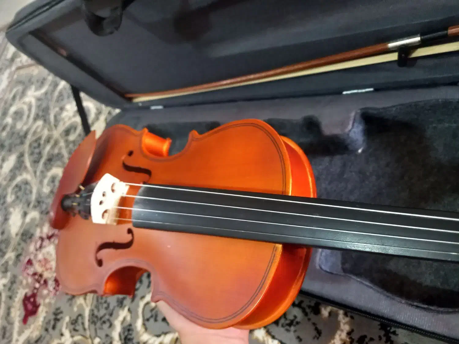 ویولن خوش رنگ  نونو|ویولن|تهران, تهرانپارس غربی|دیوار