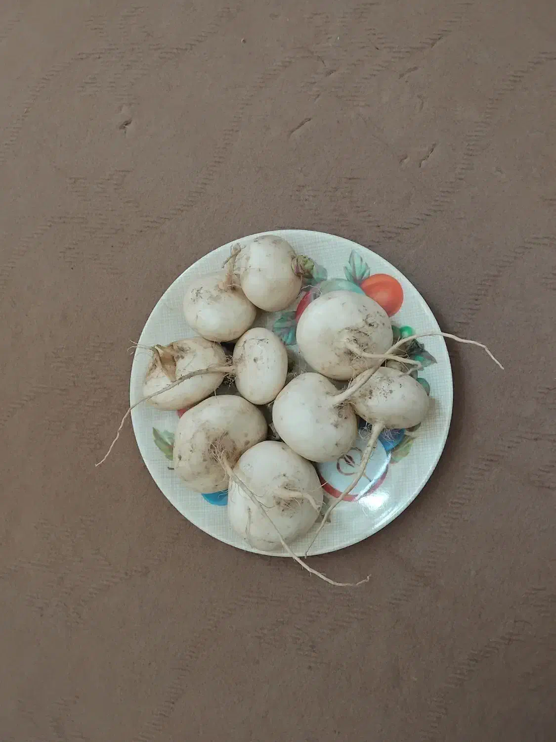 شلغم فروشی|خوردنی و آشامیدنی|جلگه ماژان, |دیوار