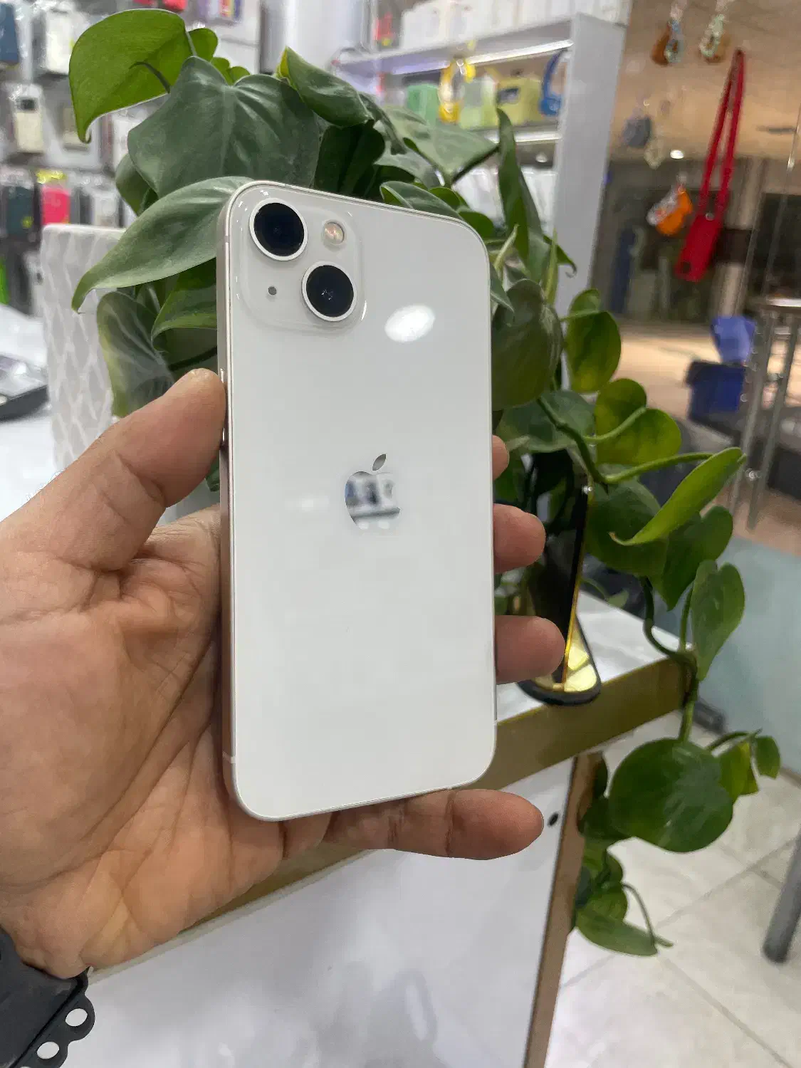 ایفون ۱۳|موبایل|سیرجان, |دیوار