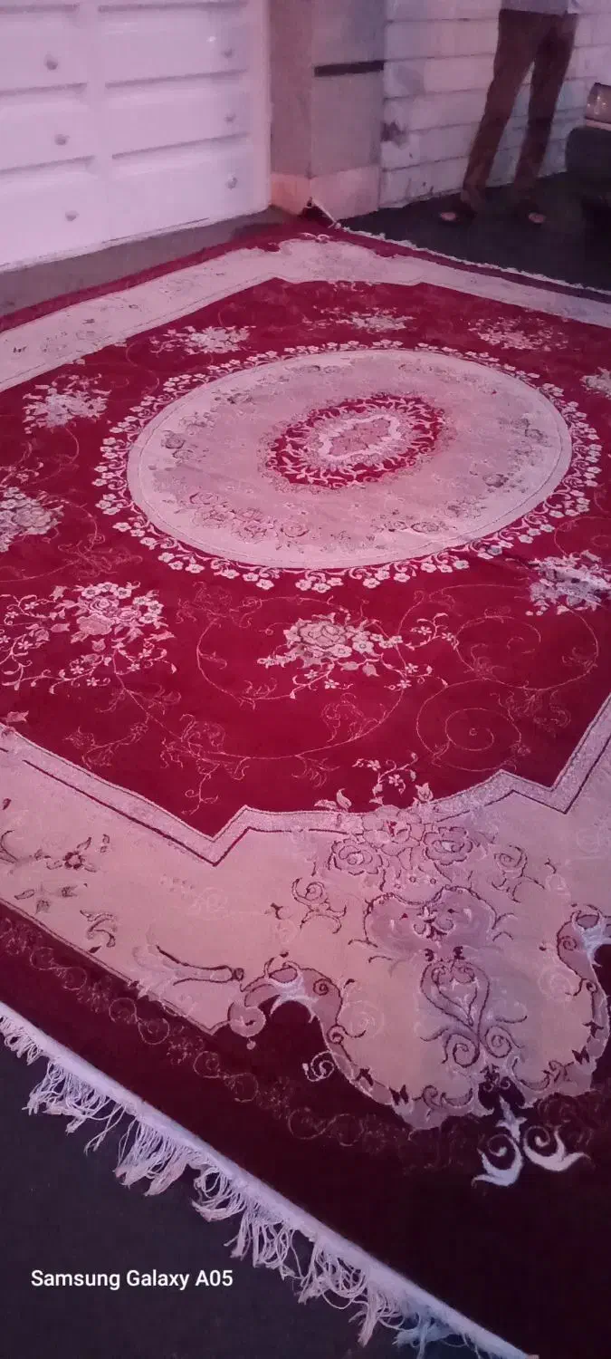 فرش12متری نگین مشهد|فرش|الوند, |دیوار