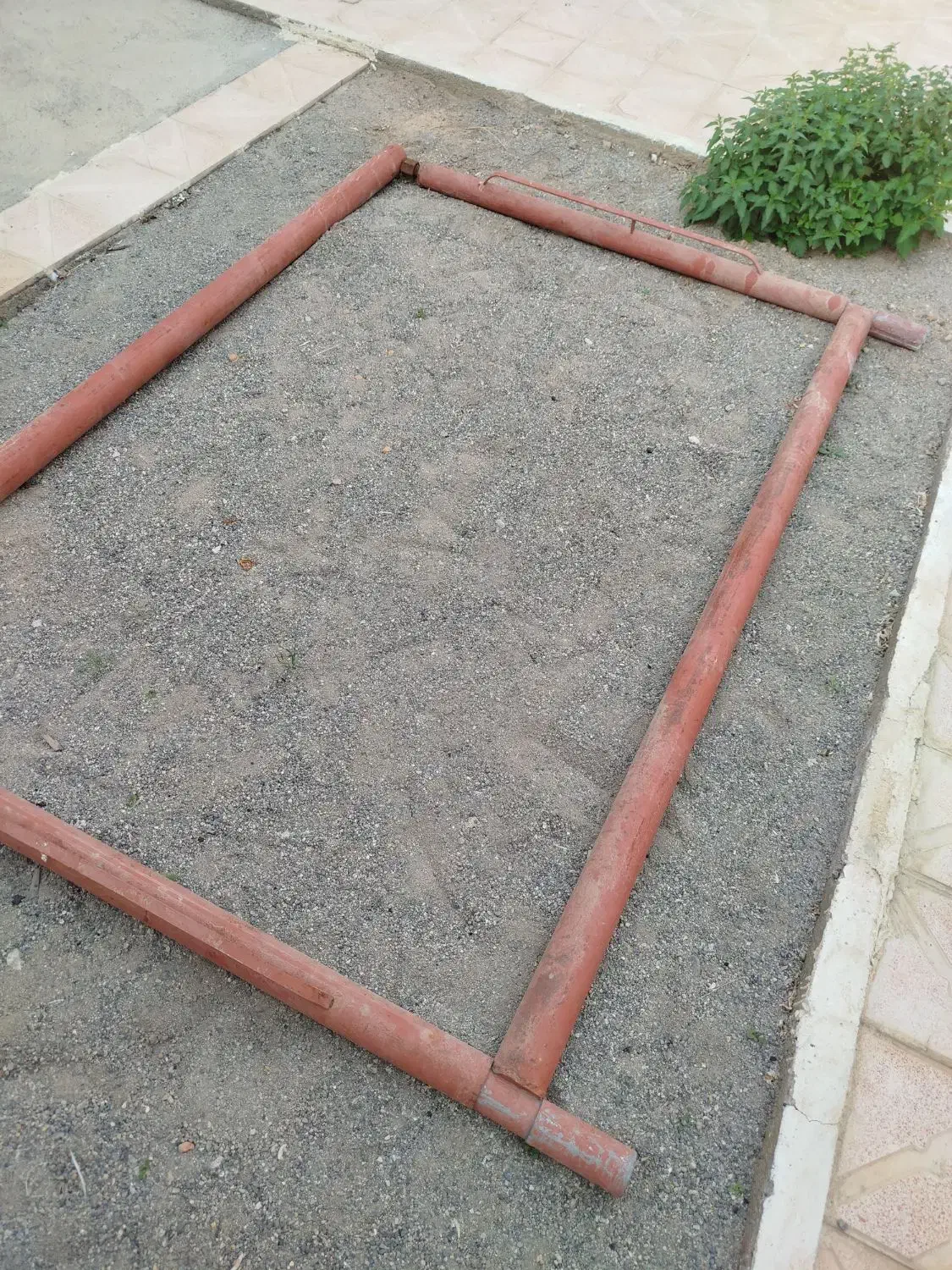 دار قالی|ابزارآلات|اهر, |دیوار