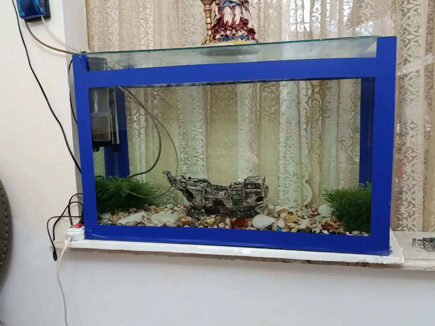 آکواریوم ماهی|ماهی|فردیس, داوری|دیوار