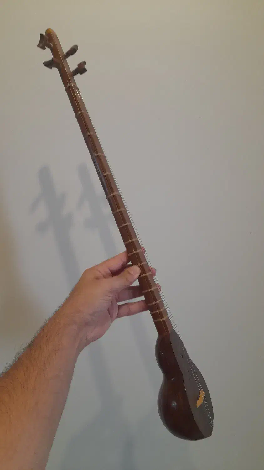 سه تار زیرعبایی|سازهای سنتی|تهران, فلسطین (میدان انقلاب)|دیوار