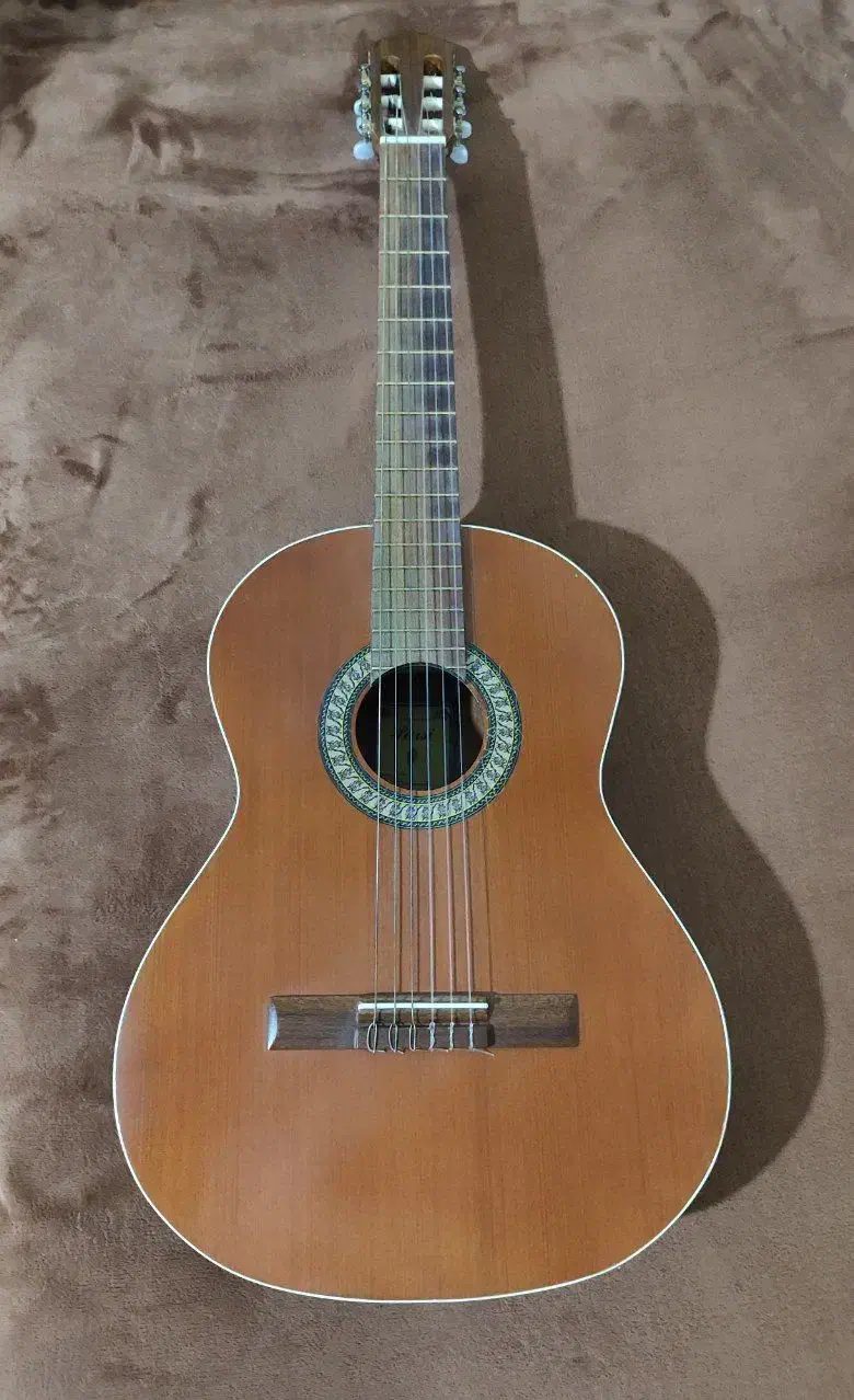 گیتار پارسی|گیتار، بیس، امپلیفایر|همدان, |دیوار