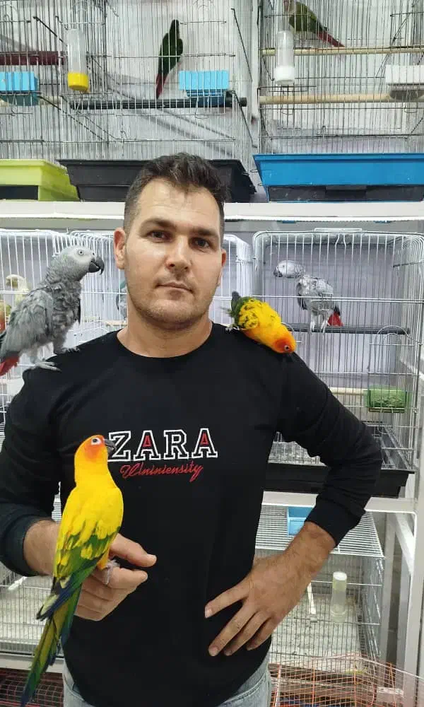 کاسکو خورشیدی گرینچیک در پرنده سرای ابوالفضل|پرنده|قائمشهر, |دیوار