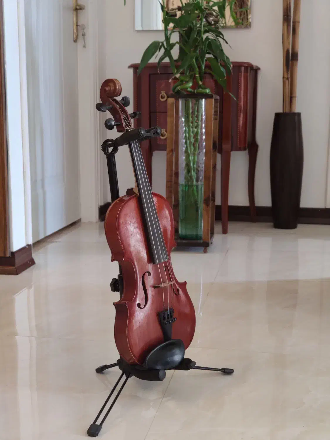 رناتو 120دسته|ویولن|بابل, |دیوار