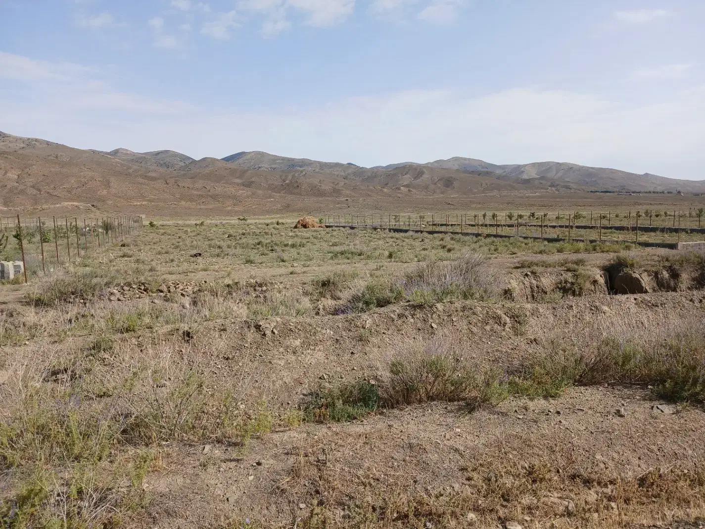 زمین فولادمحله|فروش زمین و ملک کلنگی|شهمیرزاد, |دیوار