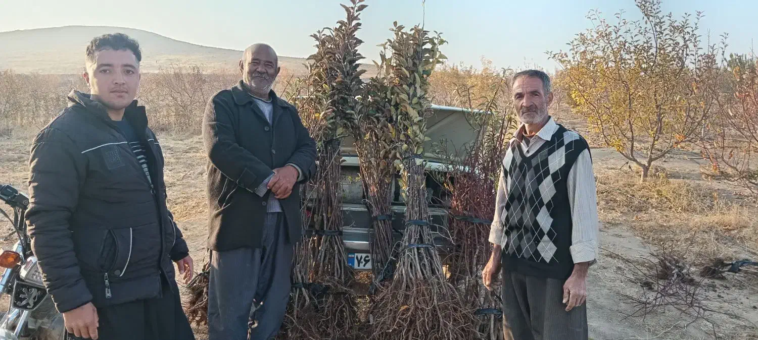 فروش انواع نهال های اصلاح شده وپربارودیرگل تضمینی|گل و گیاه طبیعی|مراغه, |دیوار