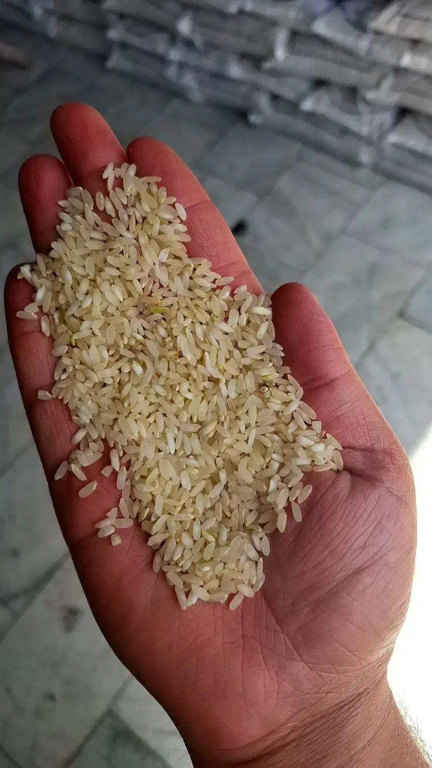برنج کامفیروزی|عمده‌فروشی|شیراز, قدوسی شرقی|دیوار