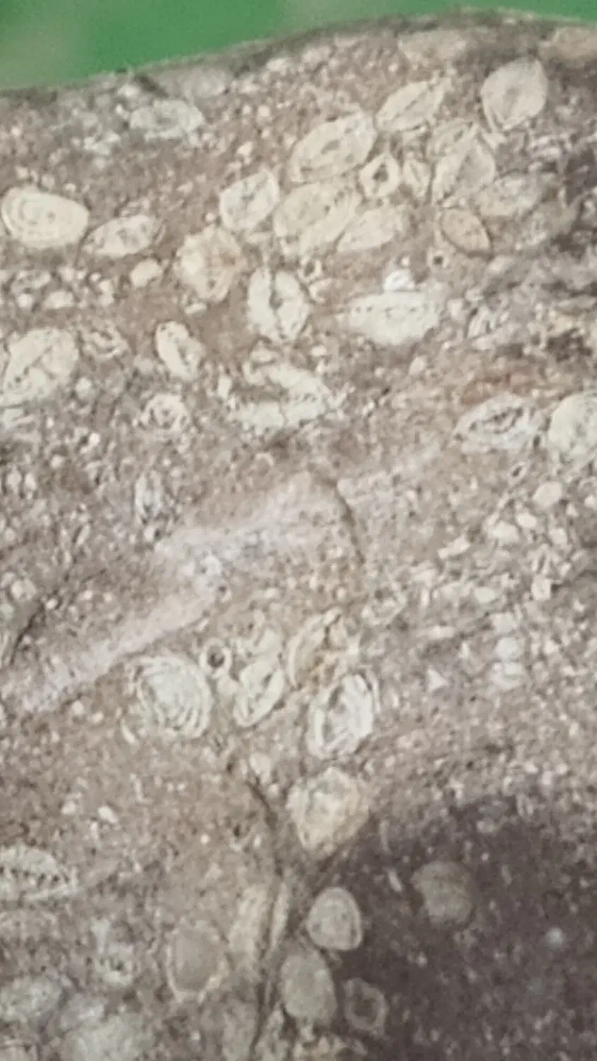 سنگفسیل|جواهرات|قم, قلعه کامکار|دیوار