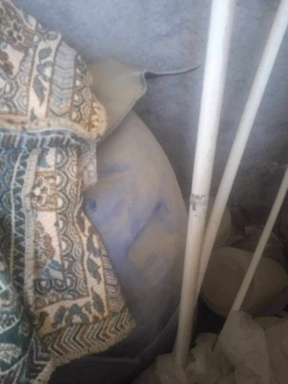 بشکه آهنی و پلاستیکی|ابزارآلات|زاهدان, |دیوار