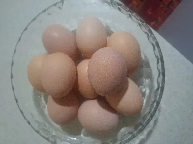 تخم مرغ محلی درشت دانه ای ده هزارتومان|حیوانات مزرعه|لیسار, |دیوار