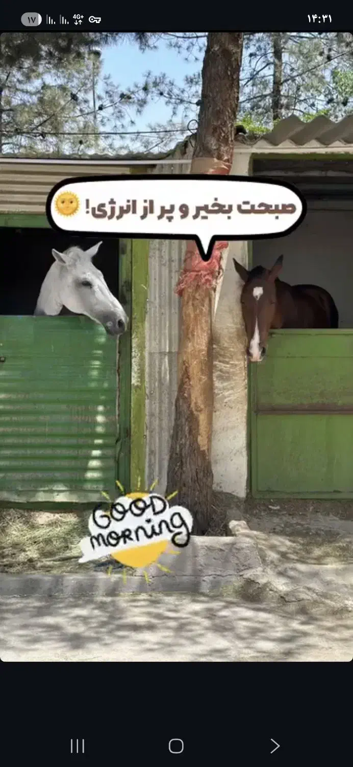 کارگر ساده. مجرد.برای کار در محوطه با جای خواب|استخدام سرایداری و نظافت|تهران, شهرک غزالی|دیوار