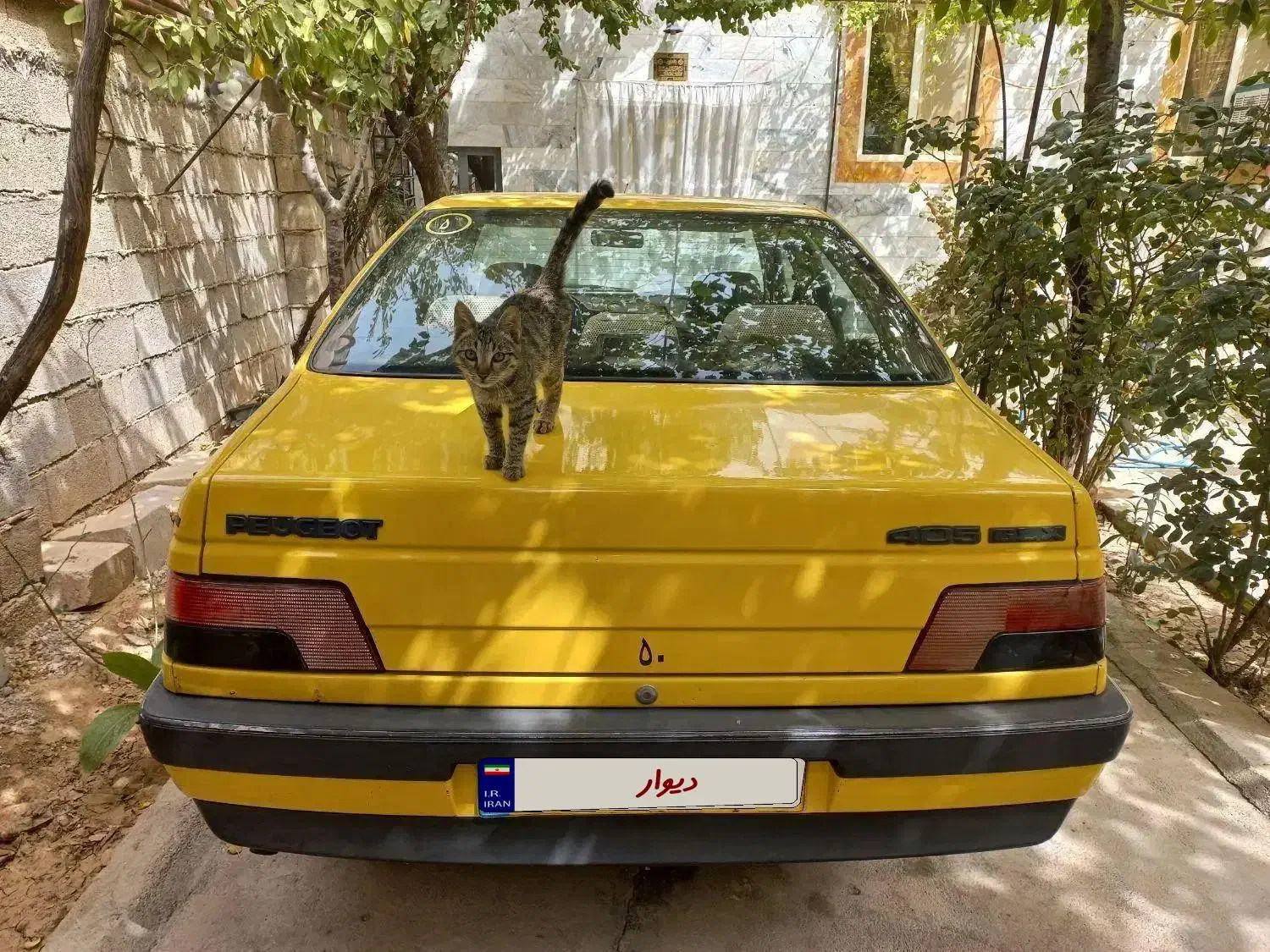 تاکسی گردشی درون شهری|خودرو سواری و وانت|بجنورد, |دیوار