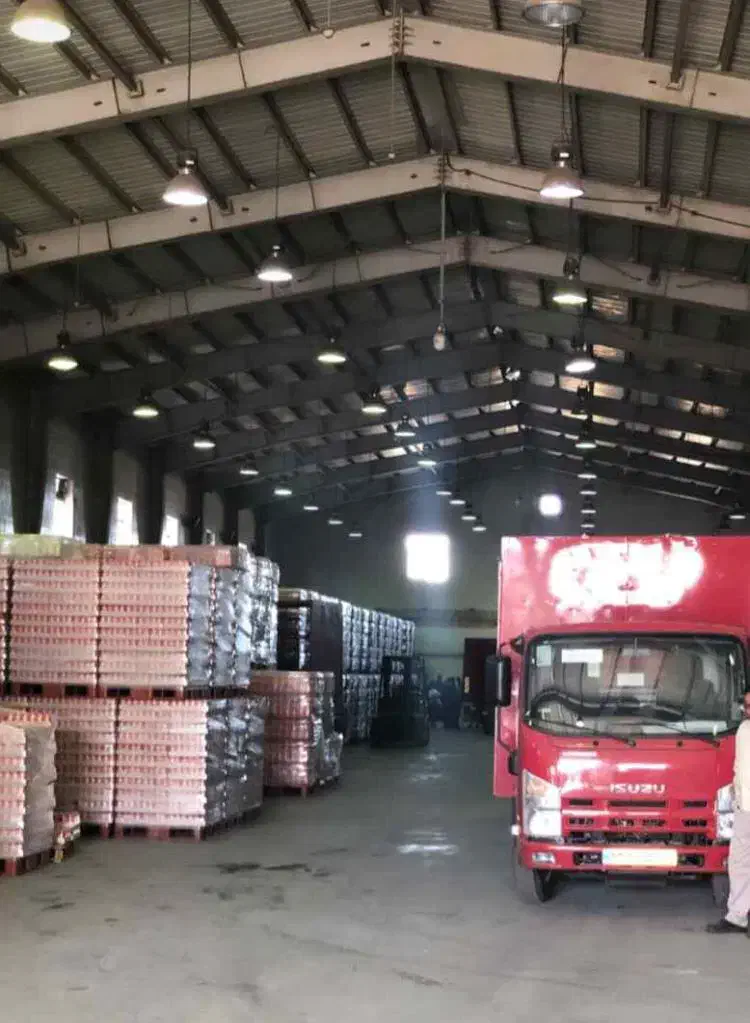 توزیع کننده مواد غذایی و کارگر پخش|استخدام بازاریابی و فروش|بندر ماهشهر, |دیوار