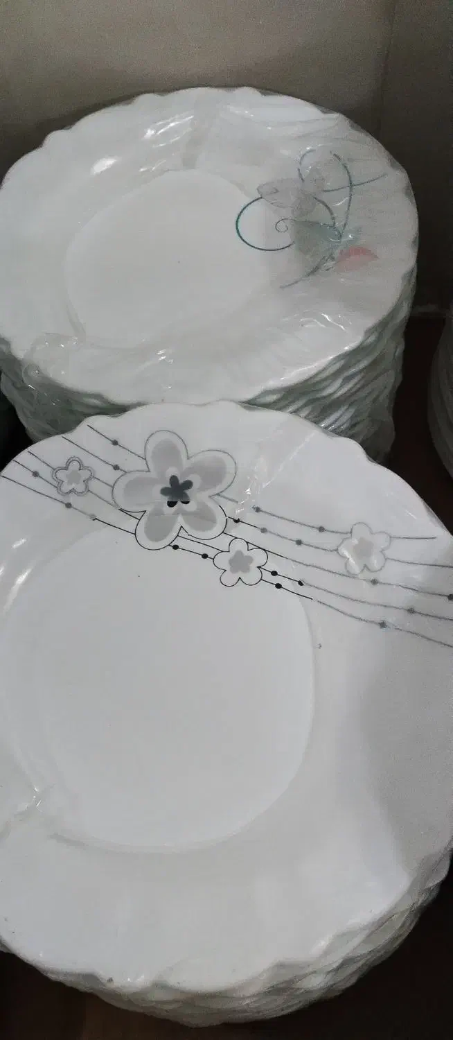 ارزانکده شهر|ظروف پختوپز|تربتحیدریه, دیزقند|دیوار