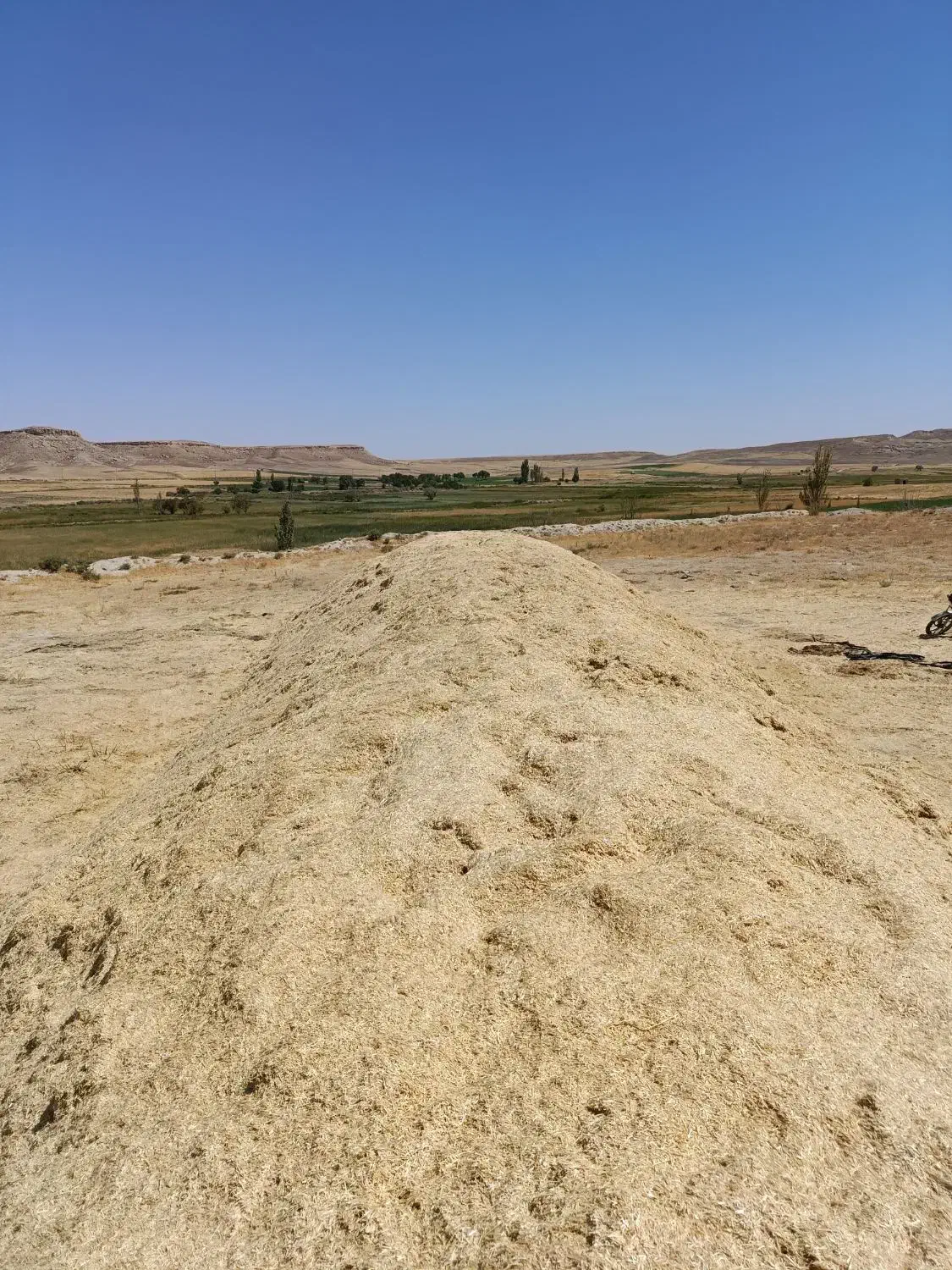 کاه|لوازم جانبی حیوانات|کبودرآهنگ, |دیوار