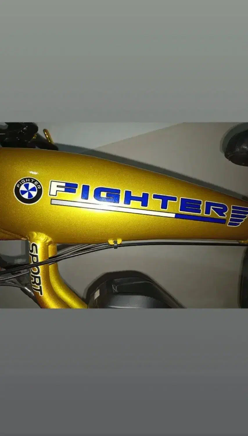 دوچرخه برقی حرفه ای زیر قیمت|دوچرخه، اسکیت، اسکوتر|گرمدره, |دیوار