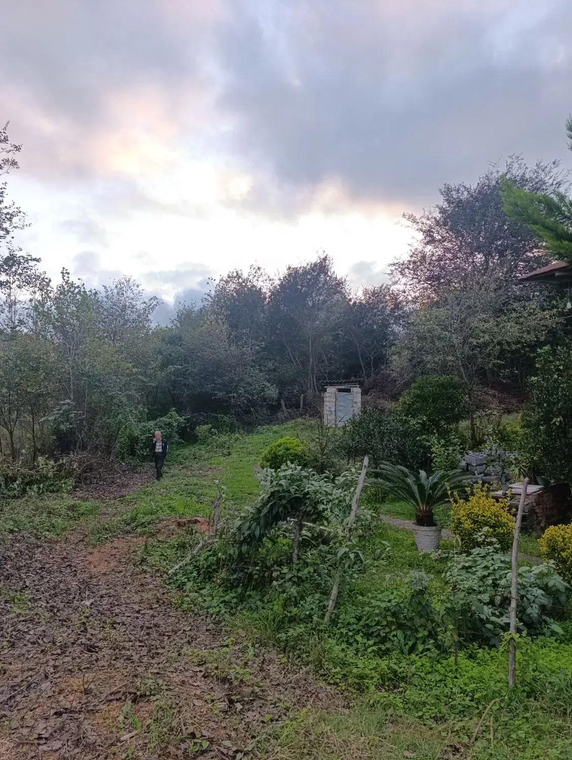 301 متر زمین املش|فروش زمین و ملک کلنگی|اطاقور, |دیوار