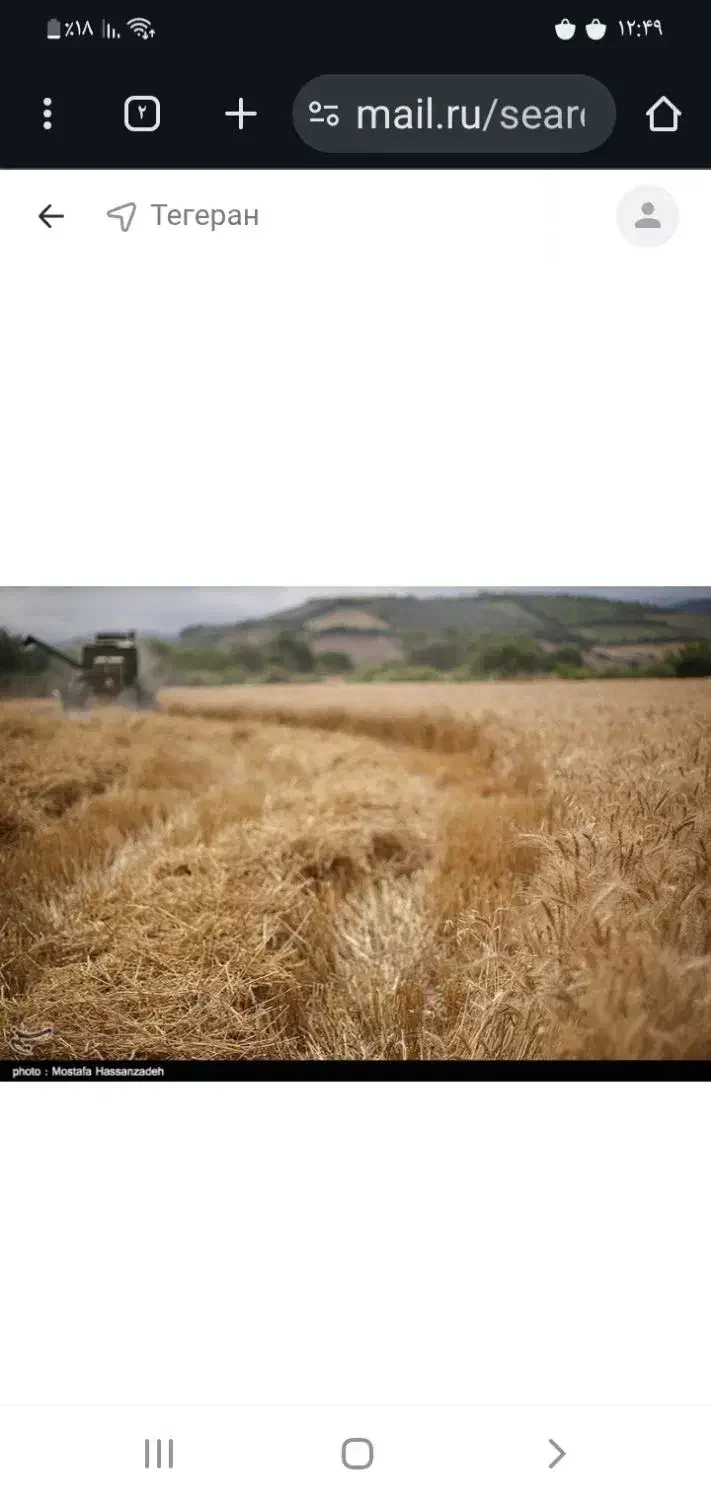 زمین کشاورزی|فروش دفتر صنعتی، کشاورزی، تجاری|تکاب, |دیوار