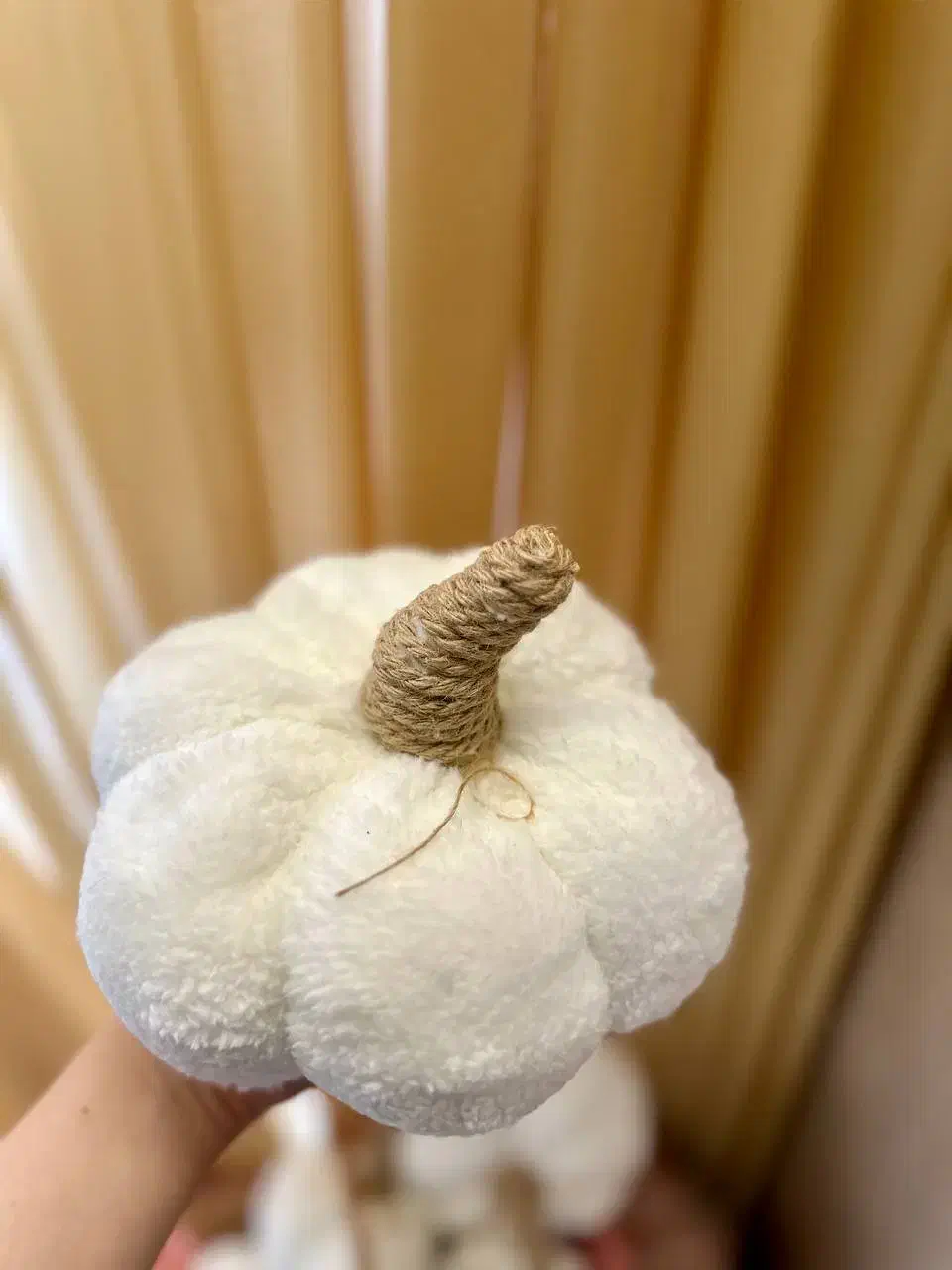 کوسن پامکین|رختخواب، بالش، پتو|تبریز, |دیوار