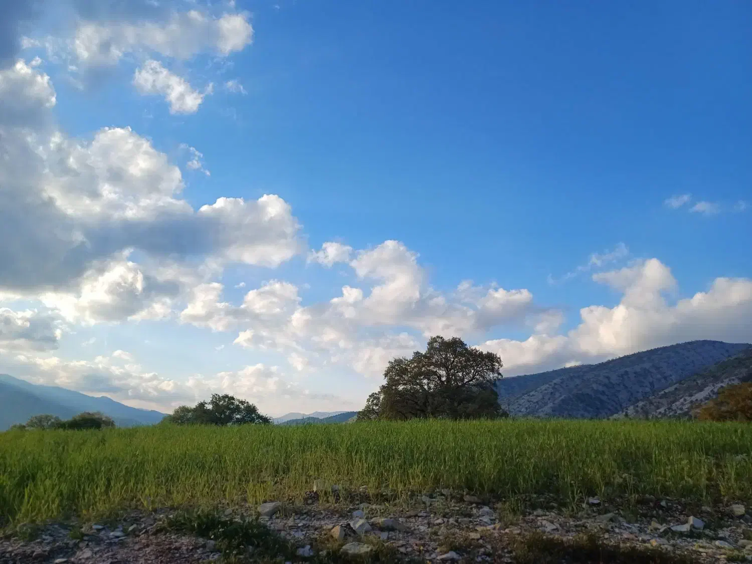 حریدارواحد|فعالیت داوطلبانه|ایلام, |دیوار