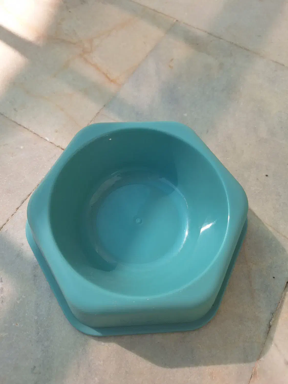 ظرف غذا برای گربه|لوازم جانبی حیوانات|اصفهان, سرچشمه|دیوار