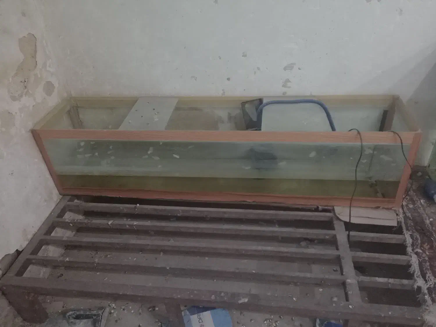 اکو‌ا‌ریوم|ماهی|تویسرکان, |دیوار