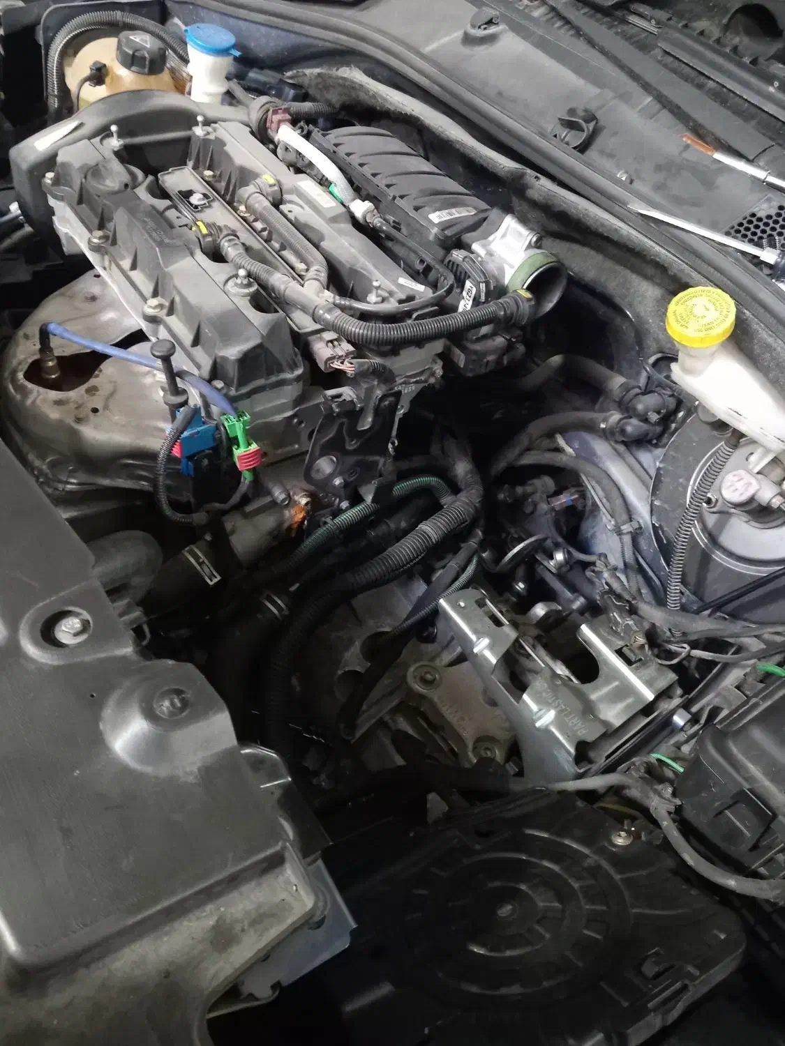 تارا|خدمات موتور و ماشین|تهران, شارق|دیوار