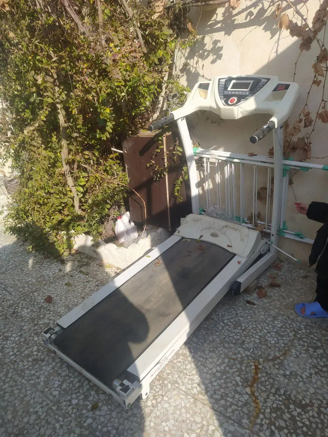 تردمیل|تجهیزات ورزشی|کبودرآهنگ, |دیوار