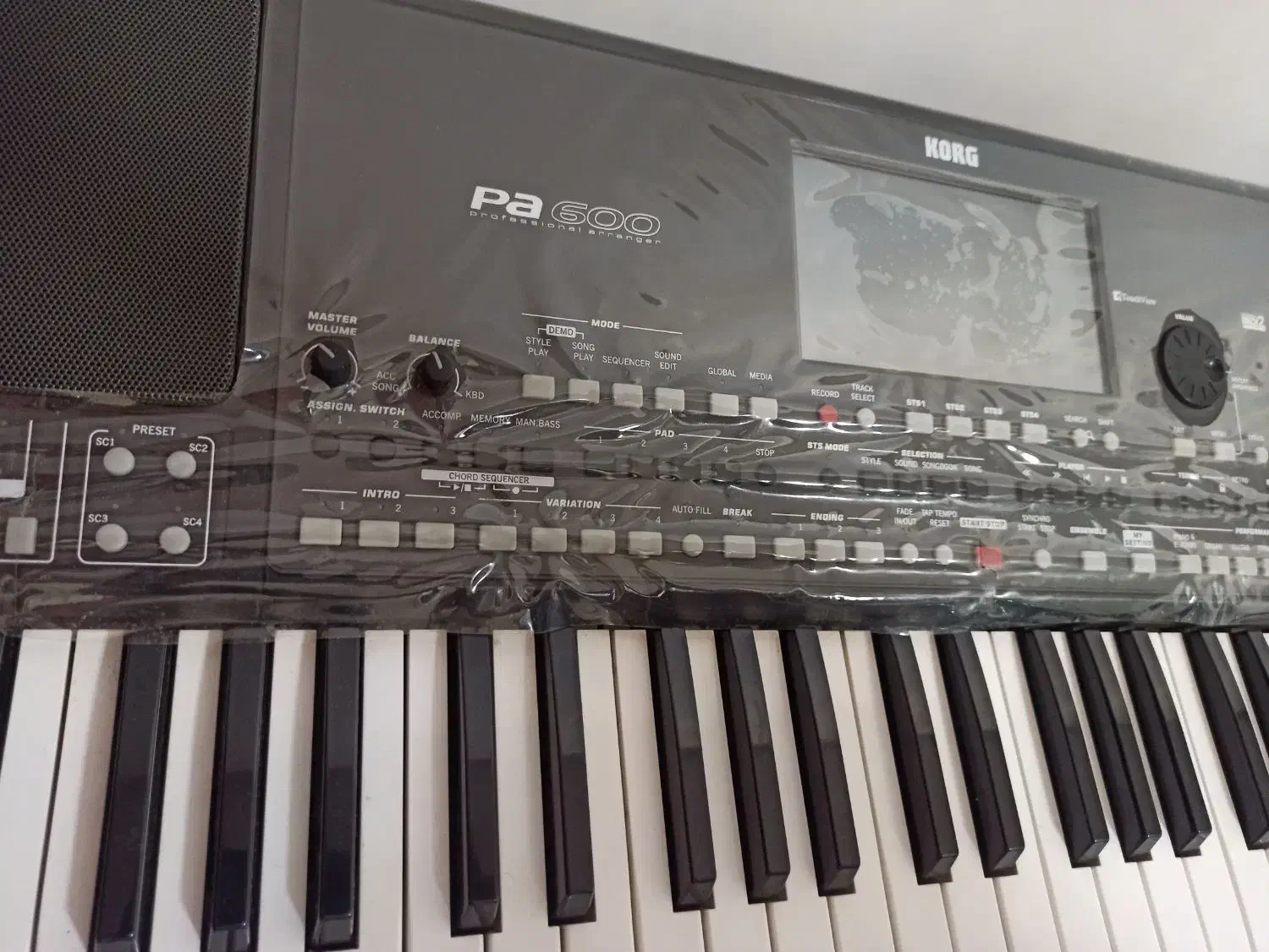 pa600qt|پیانو، کیبورد، آکاردئون|بندرعباس, |دیوار