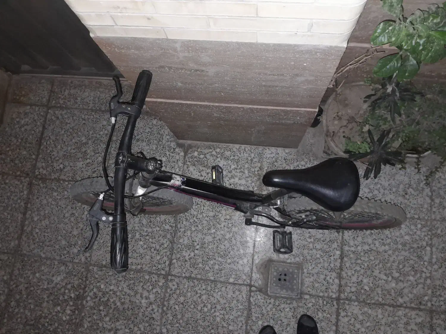 دو چرخه|دوچرخه، اسکیت، اسکوتر|یزد, |دیوار