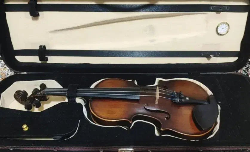 ویلن2/4|ویولن|بومهن, |دیوار