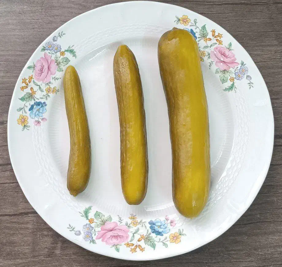 خیارشور درشت ۳۳/۰۰۰ ساندویچی ــ سالاد الویه|خوردنی و آشامیدنی|قم, ولیعصر|دیوار