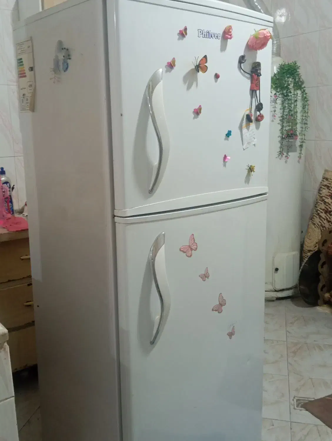 فروش یخچال فریزر philver|یخچال و فریزر|یزد, |دیوار