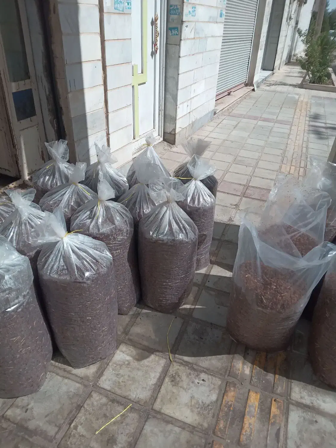 دو تن کشمش فخری|خوردنی و آشامیدنی|تاکستان, |دیوار