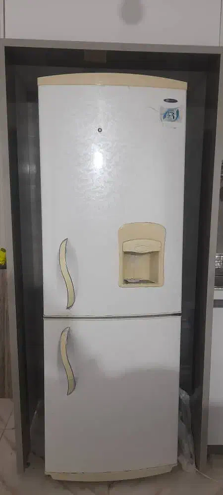 یخچال فریزر|یخچال و فریزر|شیراز, جوادیه|دیوار